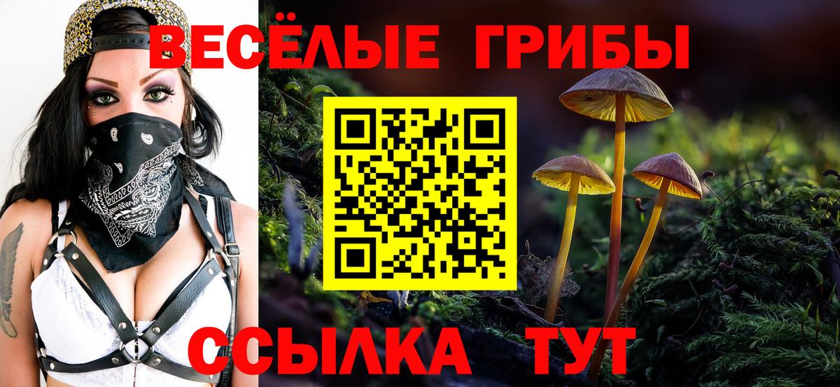 Алексин  Галлюциногенные грибы прущие грибы  Вход с VPN  Галлюциногенные грибы GOLDEN TEACHER 