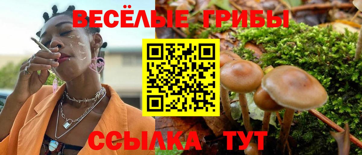 Псилоцибиновые грибы Cubensis Алексин